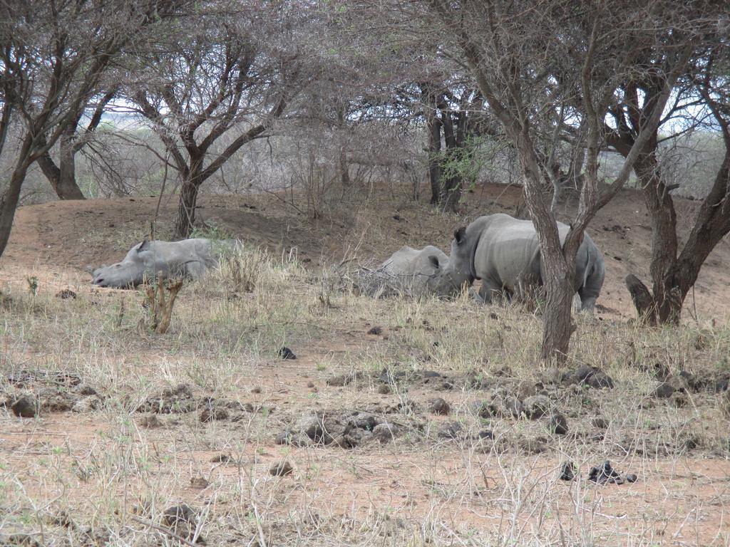Tshukudu Game Lodge - Hoedspruit Esterno foto