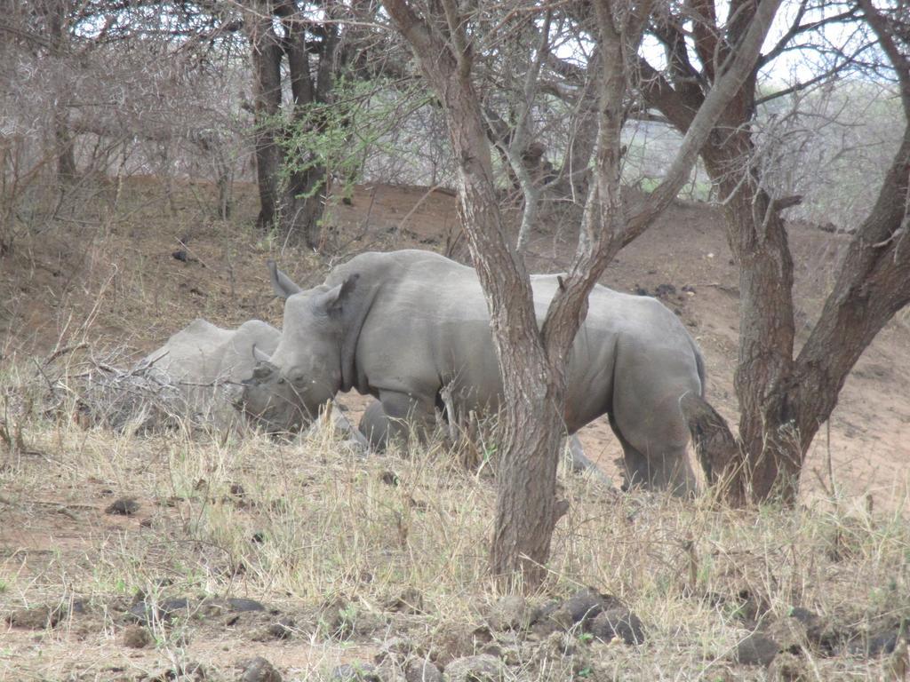 Tshukudu Game Lodge - Hoedspruit Esterno foto