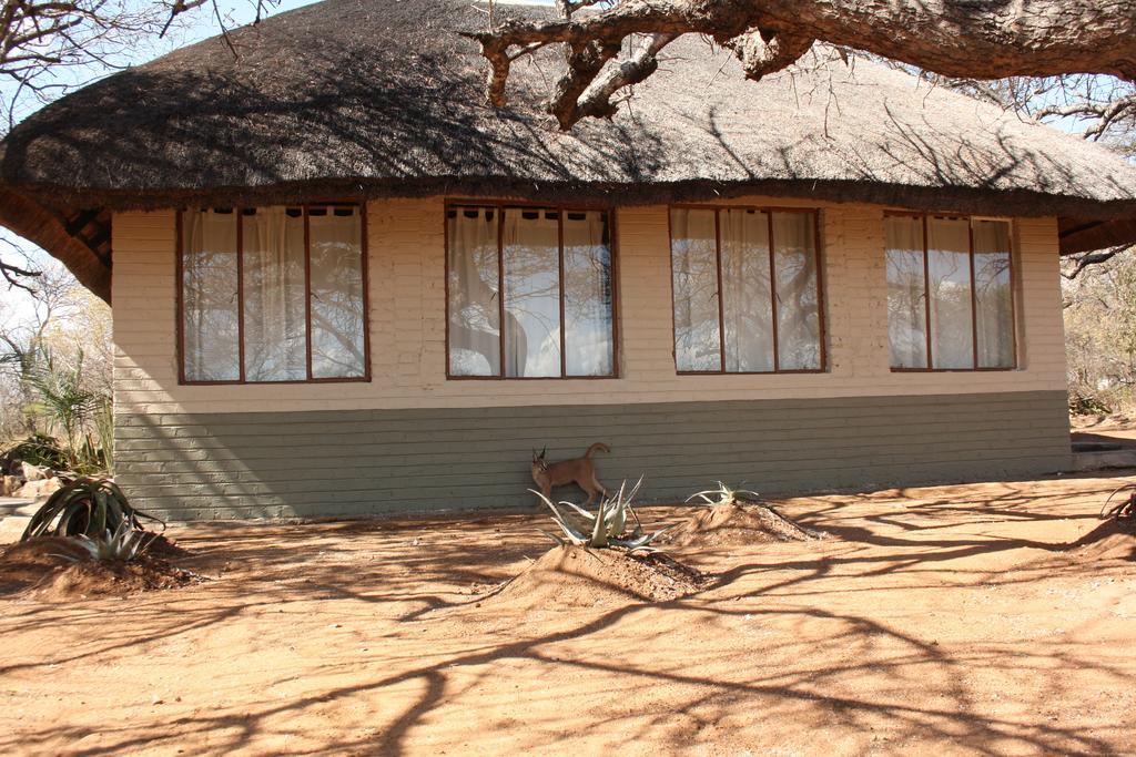 Tshukudu Game Lodge - Hoedspruit Esterno foto