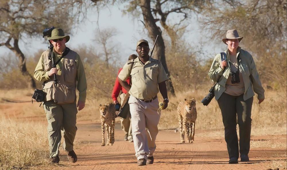 Tshukudu Game Lodge - Hoedspruit Esterno foto